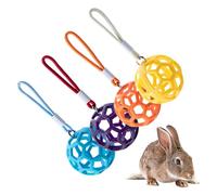 Boule d'alimentation de foin de lapin - jouet pour animaux de compagnie de foin | Bunny Haying Balls | 4 pièces nourrisson de foin pour lapin | en cage avec cordon | Distributeur