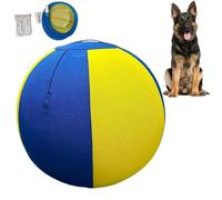 Boule de Berger pour Chien 43 cm Gonflable et rebondissante