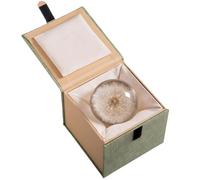 Boule de cristal de pissenlit de 6 cm pour décoration de bureau, cadeau esthétique de bureau avec véritable pissenlit, comprend une élégante boîte cadeau verte pour les événements spéciaux