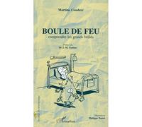 Boule de feu Comprendre les grands brulés - Martine Couderc - L'harmattan - broché - Etude
