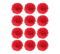 Boule de Fleurs en Papier Rouge 30cm 12 Pièces