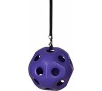 Boule de foin pour cheval HorseGuard Violet TU