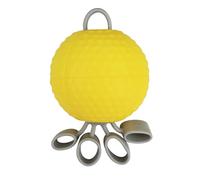 Boule de Préhension des Doigts 10/20/25 Pounds Balle de Musculation Renforcement de Main Exerciseur de Doigts Crampes Thérapeutique pour Personnes âgés/Adulte (Citron, 20 pounds)