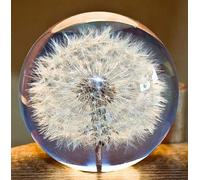 Boule de rêve en cristal avec pissenlits 7 cm