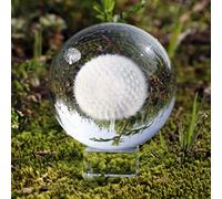 Boule de verre en cristal 3D 60 mm avec support pour décoration de chambre, décoration de maison, bureau (pissenlit, 6 x 6 x 6 cm)