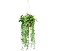 Boule décorative 30x80 cm en plastique, plante artificielle verte pour des pièces d'habitation stylées