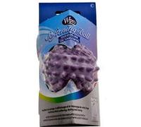 Boule defroissante WBA101 pour sèche-linge Accessoires et entretien 484000008529 WPRO - 133097 G