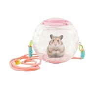 Boule d'Exercice pour Cobaye Grand Jouet De Course Silencieux Portable