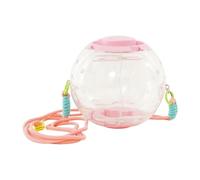 Boule d'Exercice pour Cobaye Jouet Course Silencieux Grand Portable
