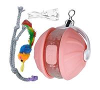 Boule Interactive pour Chat Activités Physiques pour Chats