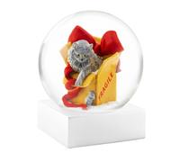 Boule neige Chat dans une bo te CoolSnowGlobes