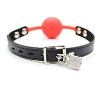 Boule SM interchangeable Hisionlee BDSM en silicone avec clé