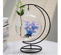 Boule Verre Suspendue - Aquarium Créatif - Support Métal - Décoration Maison - 10x15cm