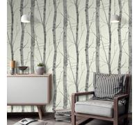 Bouleau Arbre Forêt Argent Paillette Mèches Erismann Papier Peint Crème 5433-47