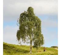Noch Arbre de modélisme Bouleau verruqueux 18 cm (20120) 1 pièce