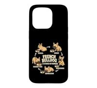 Bouledogue français 5 étapes de la Faim Cadeau Amusant pour Amoureux des Chiens Coque pour iPhone 15 Pro