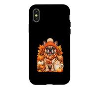 Bouledogue français Automne Wiener Dog Thanksgiving Automne Citrouille Coque pour iPhone X/XS