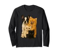 Bouledogue français de Poméranie Exotique à Poil Court Munchkin Chat Manche Longue