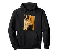Bouledogue français de Poméranie Exotique à Poil Court Munchkin Chat Sweat à Capuche