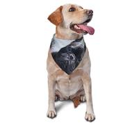 Bouledogue français Mall, Chiens Noirs, Animaux de Compagnie, Bandanas pour Chiens, Chats, Chiots, écharpes, mouchoirs lavables pour Animaux de Compagnie