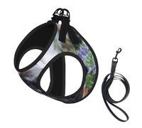 Bouledogue français Mall Chiens Noirs Animaux de Compagnie,Harnais pour Animaux de Compagnie, Harnais réfléchissant réglable pour Chien,L