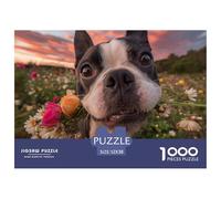 Bouledogue Français Puzzle 1000 Pièces Jeu de Puzzle 1000 Pièces Papier Champ de Fleurs Sauvages Relaxation Décoration Cadeau Famille 52x38cm/1000pcs 52x38cm/1000pcs