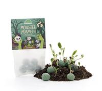 Boules de graines de monstre - 5 billes de fleurs vertes avec graines de fleurs sauvages parfumées pendant la nuit