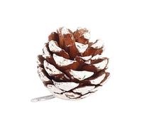 Boules de Noël avec pommes de pin naturelles et bords blancs - Ensemble de décorations de sapin de Noël rustique et élégant à suspendre pour décoration festive