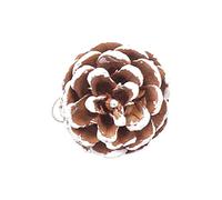 Boules de Noël avec pommes de pin naturelles et bords blancs - Ensemble de décorations de sapin de Noël rustique et élégant à suspendre pour décoration festive