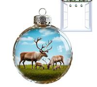 Boules de Noël - Décoration de Noël transparente - Décoration d'arbre de Noël - Pour la maison, le dîner, l'école, le centre commercial, le mariage, l'anniversaire, la réunion de famille, les fêtes