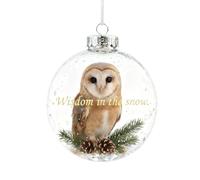 Boules de Noël, ornements de boules de Noël, pendentifs colibri, boules de Noël, décorations de sapin de Noël avec de beaux oiseaux lumineux respectueux de l'environnement, pour la maison, la table