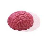 Boules de Stress du Cerveau - Toys Squishy de Lent | Boule de soulagement du Stress Cerveau réaliste, Boule de Gel Sanglant Effrayant, Jouet de fête d'halloween, décoration d'horreur,