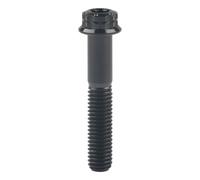 Boulon à bride M8x15-80mm, 12 points T40, pas de vis Torx 1.25 for voiture moto, 1 pièce(Black,65mm)