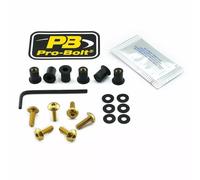 Pro Bolt Scr 6 Sk6g Windshield Screws Doré