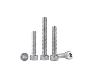 Boulon à tête cylindrique en acier inoxydable 304, antivol et Anti-démontage, rainure intérieure forme de fleur, 10/20/30/304(50pcs M2.5X5)