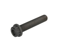 Boulon, carter de vilebrequin BF 20060347109