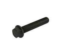 Boulon, carter de vilebrequin BF 20060910509