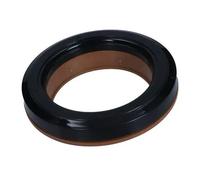 Boulon de poulie Essieu avant gauche 72-4210 MAXGEAR pour NISSAN JUKE JUKE Van