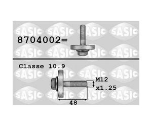 Boulon de poulie SASIC 8704002