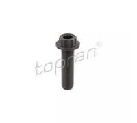 Boulon de poulie TOPRAN 109 330