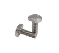 Boulon en T acier inoxydable 304, boulon à rainure, vis de platine forme GB37(12mm,M8(1Pcs))
