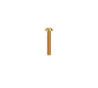 Boulon en titane M3 M4 M5 M6 x 5 6 8 9 10 12 14 15 16 18 20 25 30 35mm, vis intérieure for accessoires de vélo, 1 pièce(Gold,M4 x 8mm)