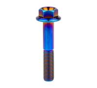Boulon En Titane, Pas De 1.25Mm, Vis M10 X 20/25/30/35/40/45/50/55/60/65/70/75/80/100Mm, Fixation À Bride Hexagonale, Brûler, M10,50mm