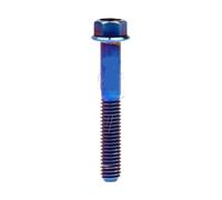 Boulon en titane, petite bride, vis à tête hexagonale for vélo et moto pour réparation(Burn Blue,100MM_M6)