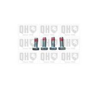 Boulon, étrier de frein QUINTON HAZELL BFK606