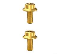 Boulon Fixation Guidon pour titane Léger Pour R7170 R8170 Boulon | Matériau pour titane pour robuste, résistance météo, finition dorée élégante, compatibilité R7170 R8170 R9270(gold)