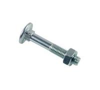 Boulon LENNIE Tête ronde collet carré TRCC - Zingué blanc - Ø10x140 - boite de 25 - BTRCC1014002B Blanc
