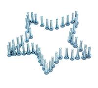 Boulon M5 X 25 T27 Torx 50PKS Compatible avec la Barre de soufflage de tronçonneuse