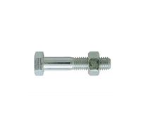 Boulon Th Ft Ac Zn Bl 8/8 12X40 Bte 100 Viswood