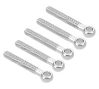 Boulons à œil en acier inoxydable, Boulon de lien d'anneau Fisheye en acier inoxydable, boulon à œil levage Ss 304 argent M10X65-100mm 5 pièces